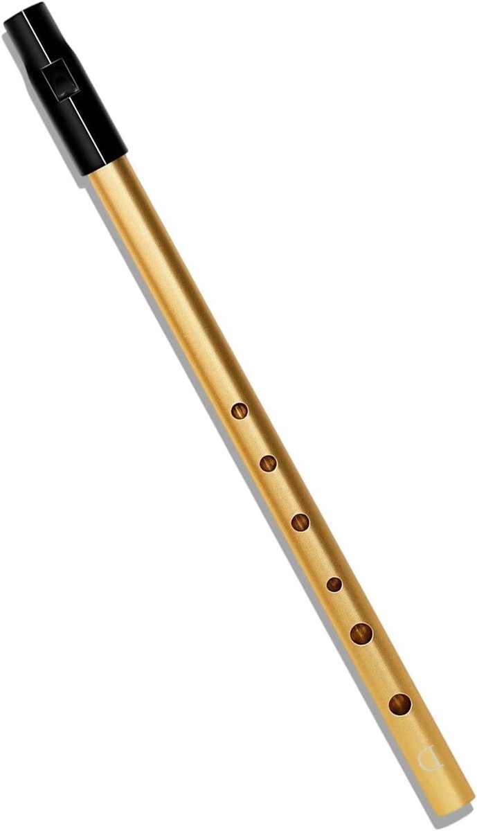 Tin Whistle - Ierse Fluitje - Muziek Maken - Eenvoudig te Bespelen - 28 cm - Goud