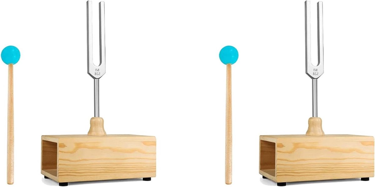 Stemvork Set - Resonantiebox Geluidstherapie - Akoestische Experimenten - Verchroomd Oppervlak - 20 x 18 x 10 cm - Houtkleur Zilver