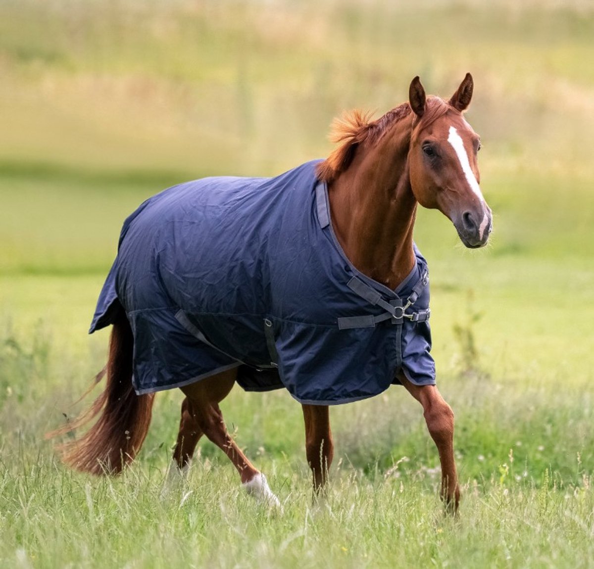 Busse Zomerdeken Early Season Navy 145-195
