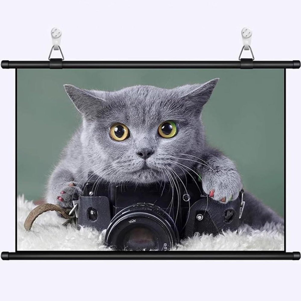 Projectiescherm Handmatig - Filmscherm - Home Cinema - Brede Kijkhoek - 4:3 16:9 - Zwart