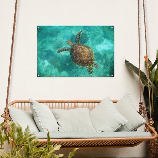 Affiche de jardin Tortue de mer au Reef d'Apo - 100x60 cm - Décoration murale Outdoor - Affiche de jardin - Toile de jardin - Affiche de clôture - Tableau de jardin