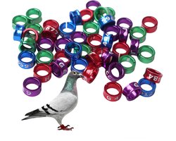 Open Bird Ring - 50pcs Bird Foot Rings - Geschikt voor Vogel - Papegaai - Duif - Kwartel - Kuiken - Binnen Diameter ongeveer 6mm (Gemengde Kleuren)