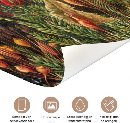 Sticker de porte Muscinae - Art - Maîtres anciens - 80x205 cm - Affiche de porte