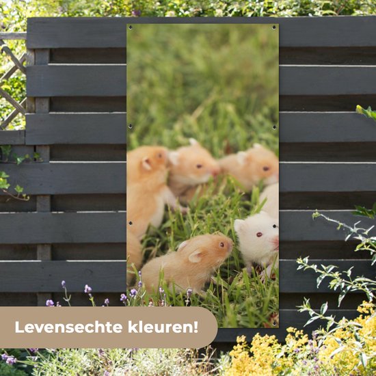 Décoration murale d'extérieur Hamster doré avec garçon - 80x160 cm - Toile de jardin - Poster extérieur