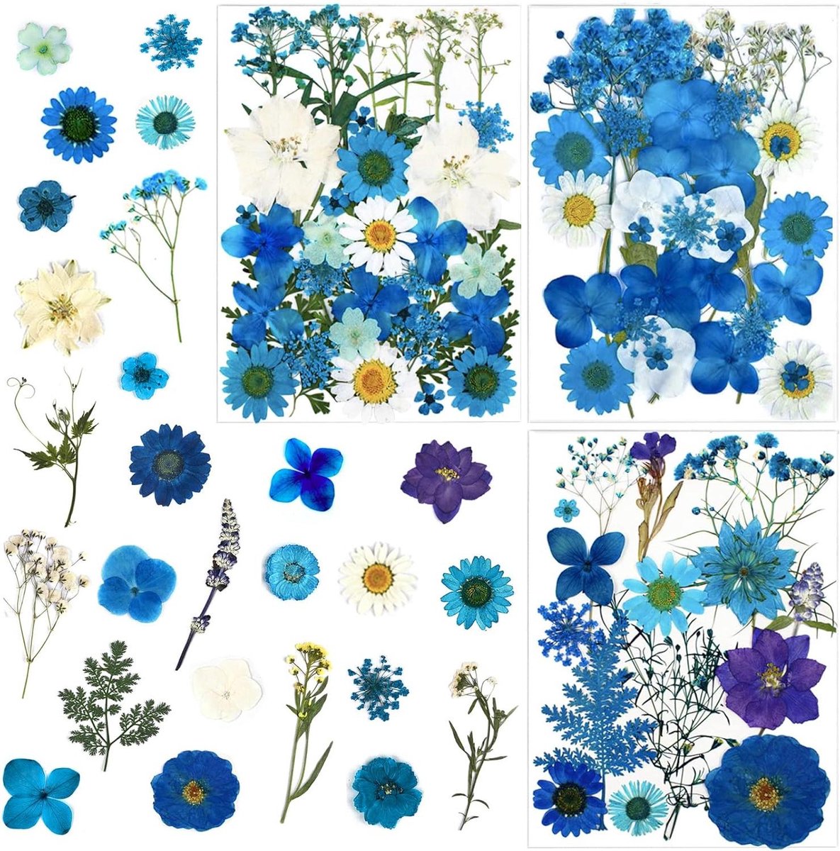 Gedroogde Bloemen - Natuurlijke Bloemblaadjes - Hars Ambachten - 83 Stuks Blauw - Natuurlijk Gedroogd - Blauw