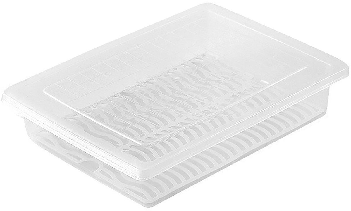 Allecto - Koelkast opbergdoos - Transparante voedselopslagcontainer - Perfect voor vis, fruit en groenten - Ruimtebesparend ontwerp - Houdt voeds
