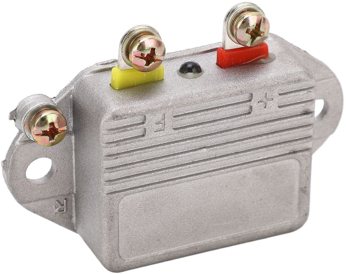 Dailygoods - Dailygoody - Automotive Laadregelaar - 1000W - Voorkomt overladen - Compact formaat - Voor generatoren - Hoogwaardige aluminiumlegering - Geschik