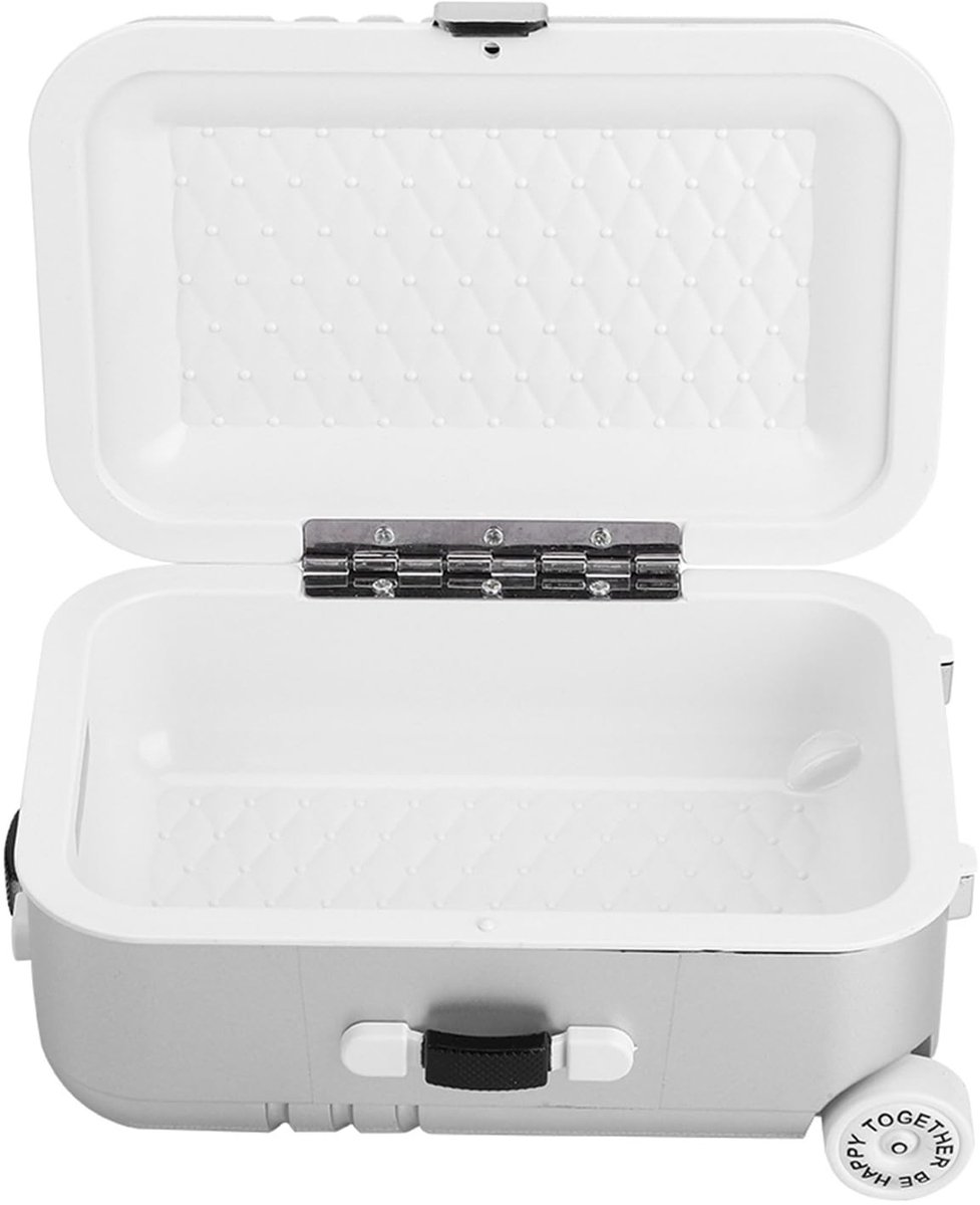 Solidchoice - Dailygoody - Kinderkoffer - Grappige koffer - Duurzaam en veilig - Zilver - Mini-bagagebox - Perfect voor speelgoed - Voor kinderen - Compact formaat