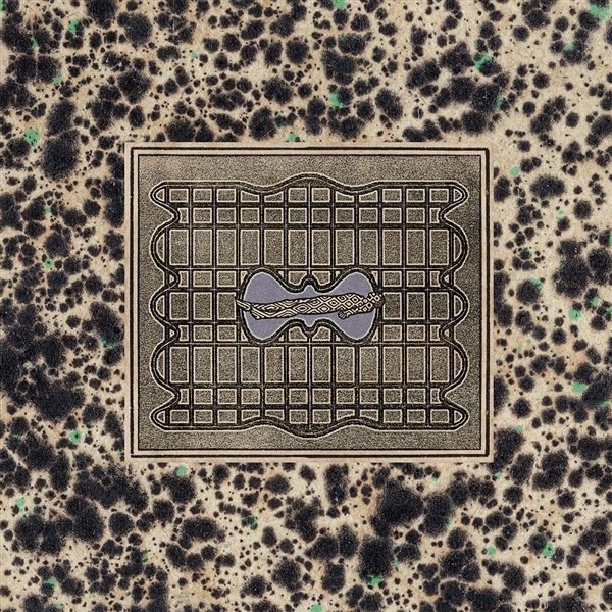 Ornamental - Verwandlung Im Schlaf (LP)