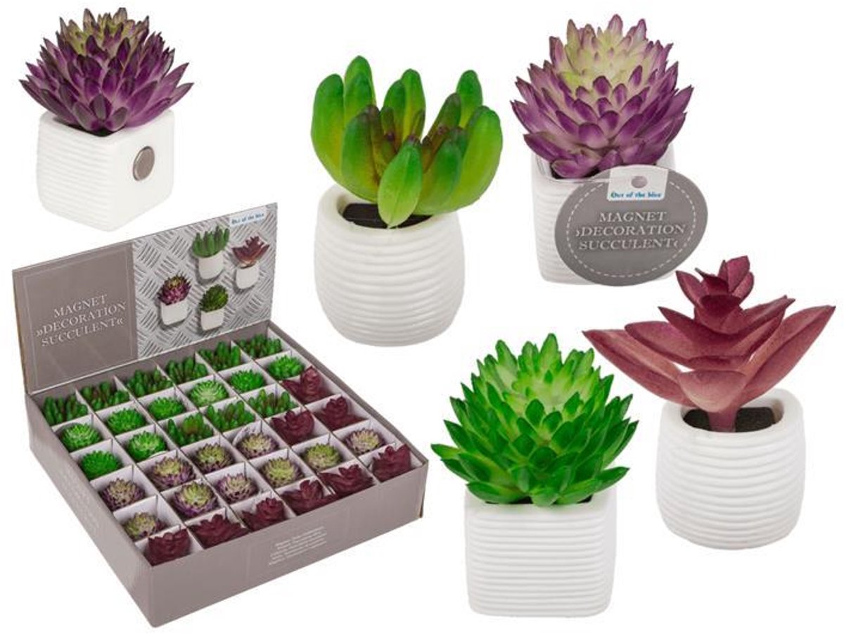 OOTB magneet vetplant decoratie in pot 3x5cm - kunstplant.