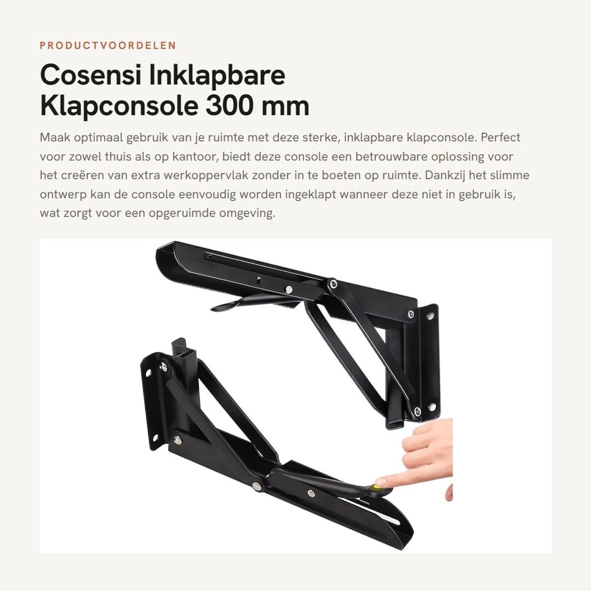 Dailygoods- Plankbeugel - Opvouwbaar - Roestvrij Staal - 300 mm - 2 Stuks - Hoekbelasting 120 kg - Ruimtebesparend - Klapconsole