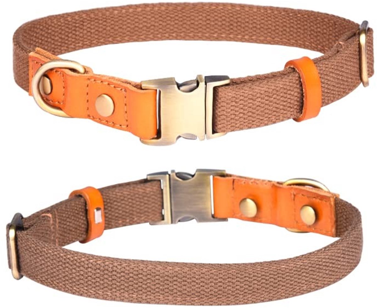Dailygoods- Halsband Verstelbaar - Nylon/Huisdierhalsband - Veiligheidsgesp - Roestvrij Stalen Sluiting - Lichtgewicht - Ademend Materiaal - Hondenhalsband