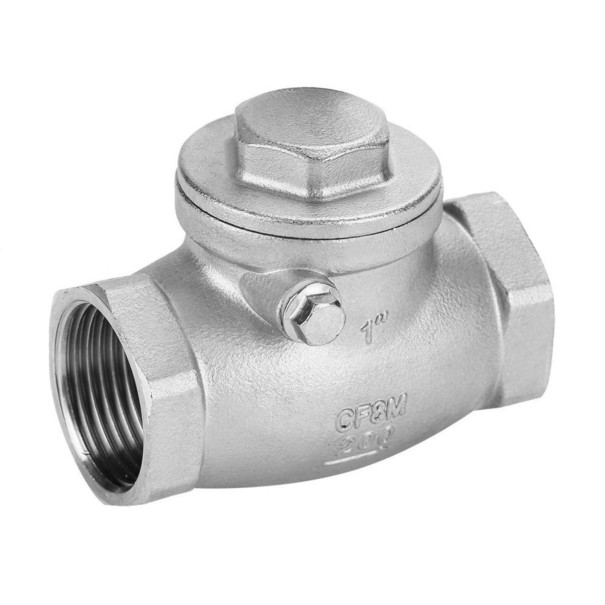Dailygoods- Terugslagklep 1" Dn25 - Roestvrij Staal