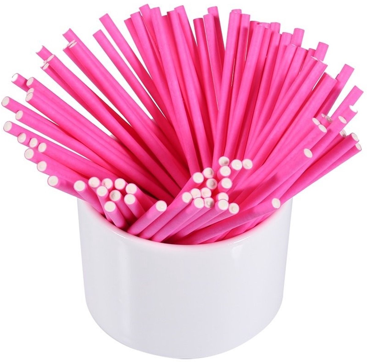 Dailygoods- Lollystokjes 100 Stuks - Voedselveilig - Creatief - Multifunctioneel - Papieren Stokjes - 10 x 0,35 cm - Snoepstokjes