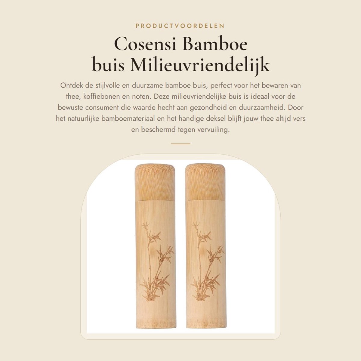 Dailygoods- Bamboe Buis - Milieuvriendelijk - Draagbaar - Theeblik - Koffiebonen/Noten - Praktisch Ontwerp - Met Deksel - Theebus