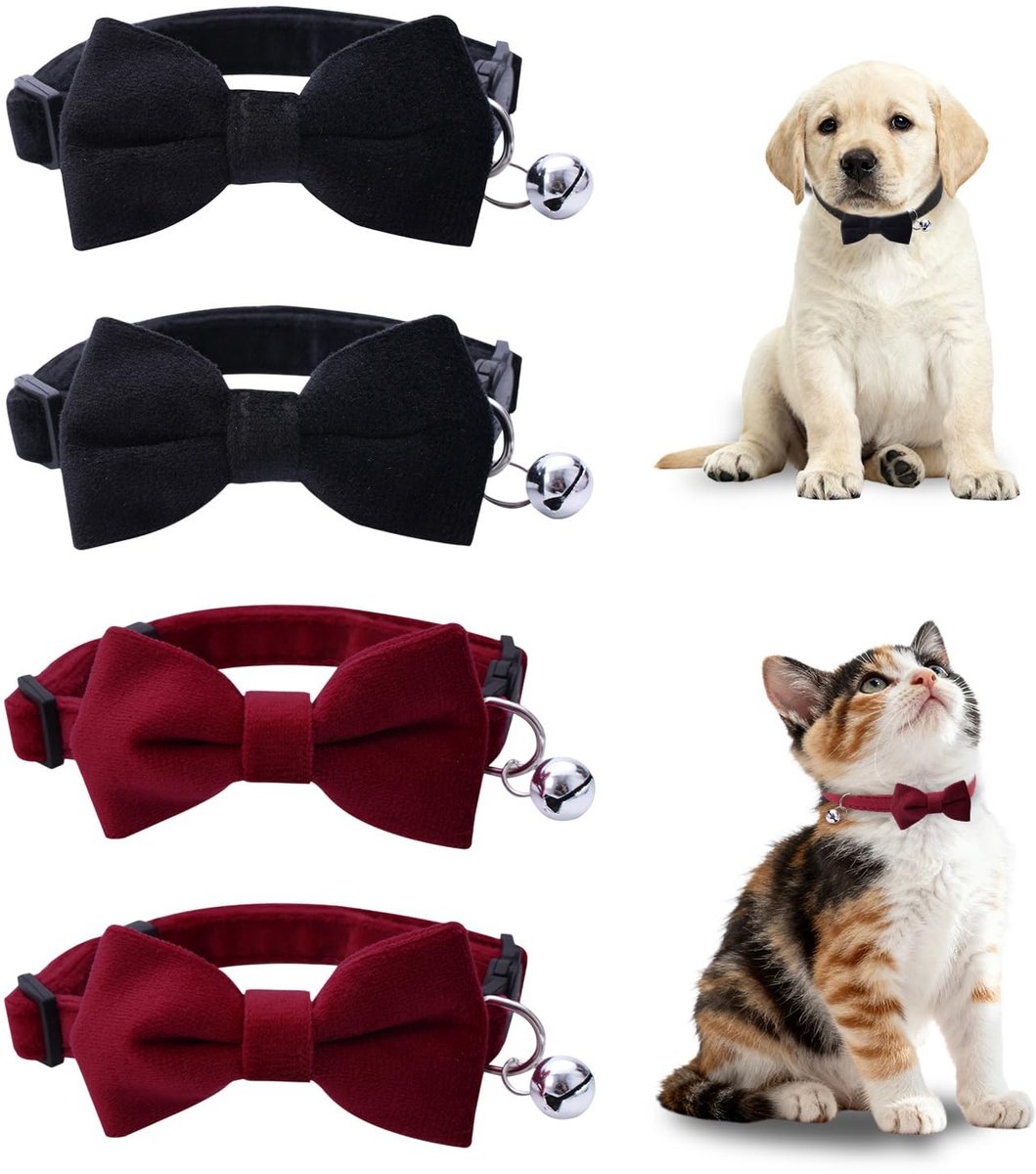 Dailygoods- Kattenhalsband Verstelbaar - Set van 4 - Veiligheidshalsbanden - Met Belletjes - Accessoires voor Katten/Kittens - Snelsluiting - Halsband