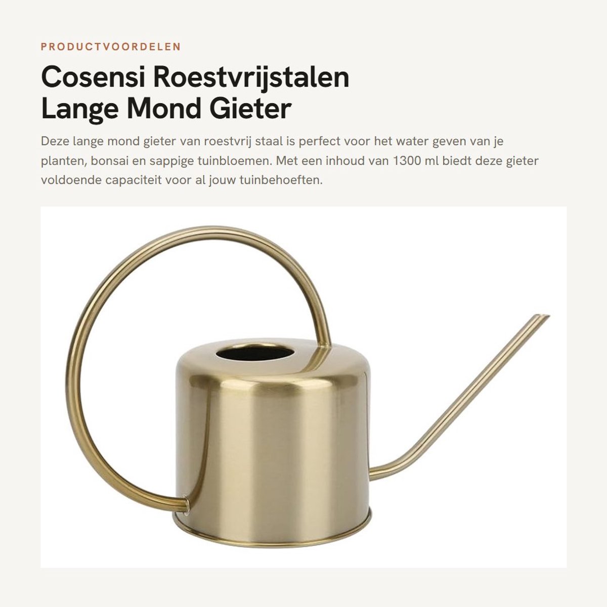 Dailygoods- Gieter 1300 ml - Lange mondgieter - Roestvrij staal/messing - Lekvrij - Duurzaam - Decoratief design - Waterkan