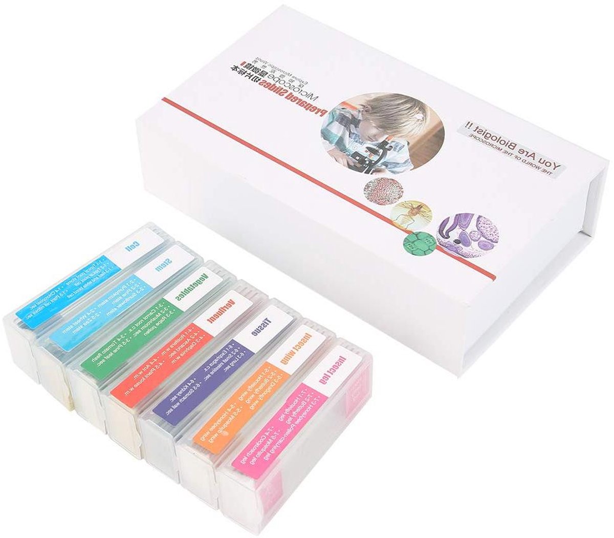 Biologische Objectglaasjes - Microscoop Voorbereidingen - Educatieve Verkenning - Gekleurde Identificatie Codes - 35 Stuks - N.v.t.