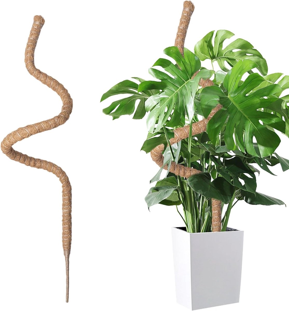 Vouwbare Kokosvezel Steunen voor Klimplanten - 160 cm Ondersteuning voor Monstera en Andere Planten