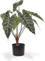 Maxifleur Kunstplanten - Kunst Alocasia - Amazonica - Kunstplant - 60 cm - Niet van echt te onderscheiden!