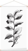 Ulmus Minor zwart-wit 2 (Cornish Elm) - Foto op Textielposter - 40 x 60 cm