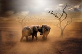 Poster olifanten | Dieren poster | Poster natuur| Poster dieren