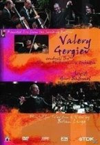 Valery Gergiev:Symphony N (Import)