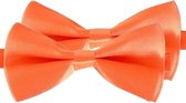 2x Oranje verkleed vlinderstrikjes 14 cm voor dames/heren - Oranje thema Koningsdag/voetbal - Vlinderstrikken/vlinderdassen met elastieken sluiting