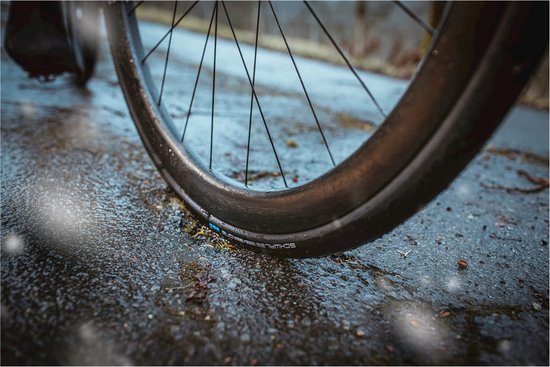 Schwalbe - One 365 Racegueard Performance Vouw Reflex 4 Season 700x25C van Schwalbe — afbeelding 4