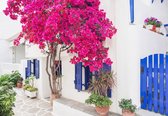 Fotobehang - Vlies Behang - Griekse Straat met een Boom vol Bloemen - 416 x 290 cm