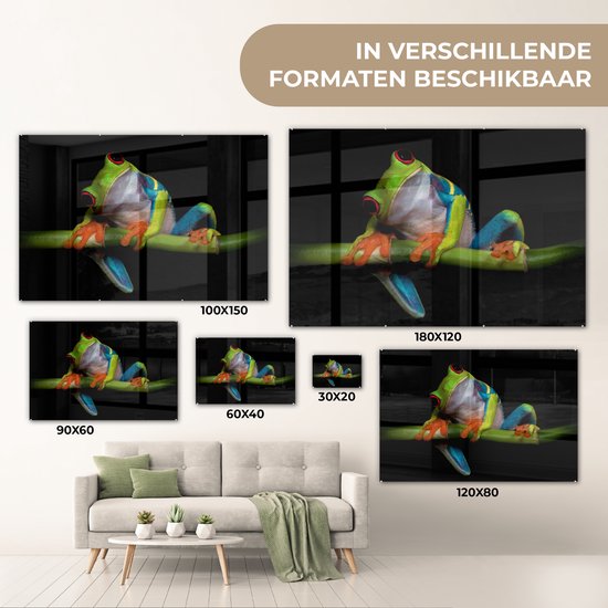 Peinture sur verre - Grenouille - Animaux - Vert - Oranje - Rouge - Photo sur verre - Peinture sur verre - 150x100 cm - Décoration murale