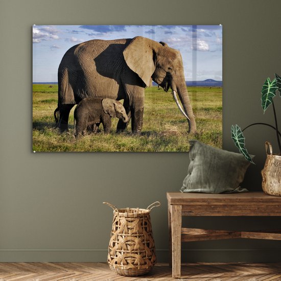 MuchoWow® Peinture sur verre 120x80 cm - Peinture sur verre acrylique - Éléphant - Animaux - Prairie - Vert - Grijs - Photo sur verre - Peintures