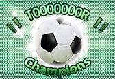 Fotobehang - Vlies Behang - Champions - Tor - Voetbal - 312 x 219 cm
