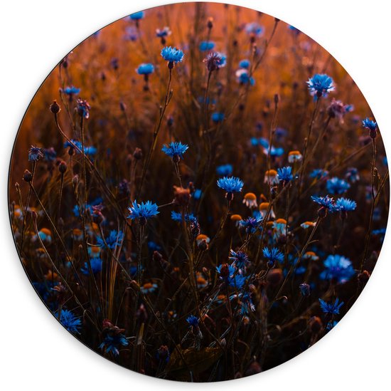 Dibond Muurcirkel - Landschap - Bloemen - Planten - Blauw - Natuur - 60x60 cm Foto op Aluminium Muurcirkel (met ophangsysteem)