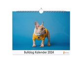 Huurdies - Bulldog Kalender - Jaarkalender 2024 - 35x24 - 300gms