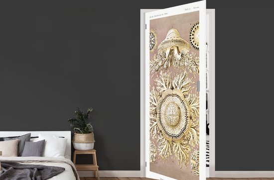 Sticker de porte Vintage - Ernst Haeckel - Méduse - Art - 90x235 cm - Affiche de porte