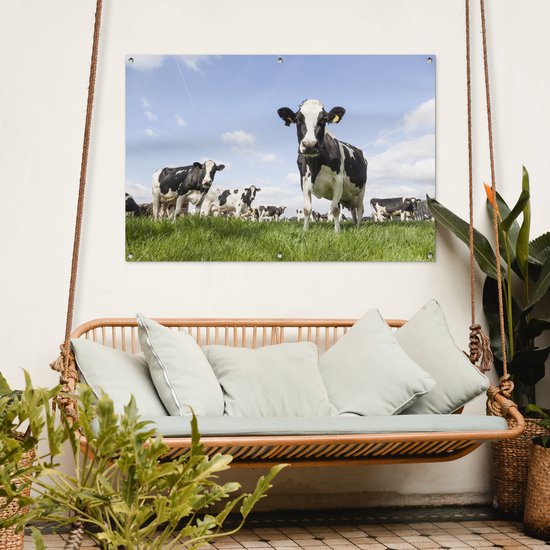 Tuinposter koeien - Tuindecoratie dieren - 120x80 cm - Tuindoek Friesland - Muurdecoratie voor buiten - Schuttingposter - Tuinschilderijen - Tuinwanddecoratie gras - Tuinposters