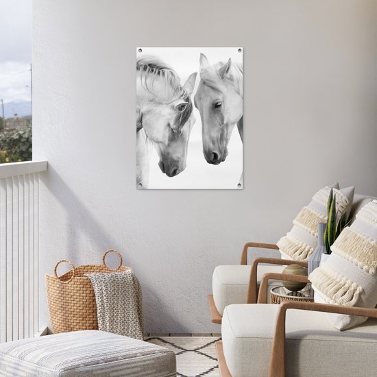 Tableau jardin Cheval - Animaux - Portrait - Wit - 60x80 cm - Affiche jardin - Toile jardin - Affiche extérieur