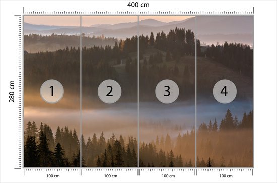 Papier peint photo Forêt dans la brume - Papier peint non tissé - 400 x 280 cm