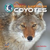 All About North American Coyotes