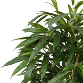 Longifolia Royal Deluxe 165 cm kunstboom
