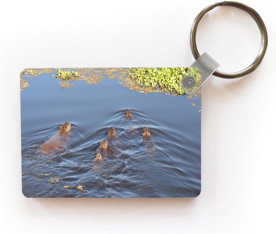 Sleutelhanger - Een Capibara-familie in het water dichtbij Passo do Lontra-loge - Uitdeelcadeautjes - Plastic