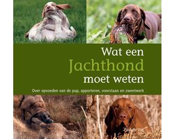 Wat een jachthond moet weten
