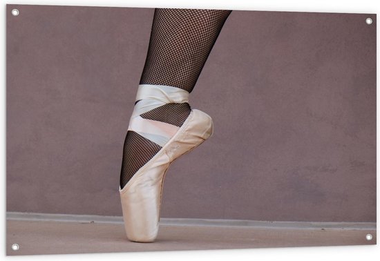 Tuinposter – Ballerina met Spitzen en Panty - 120x80cm Foto op Tuinposter  (wanddecoratie voor buiten en binnen)