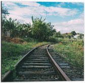 Dibond - Treinspoor - 50x50cm Foto op Aluminium (Met Ophangsysteem)