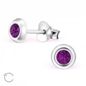 Aramat jewels ® - Zilveren oorbellen 5mm paars swarovski elements kristal