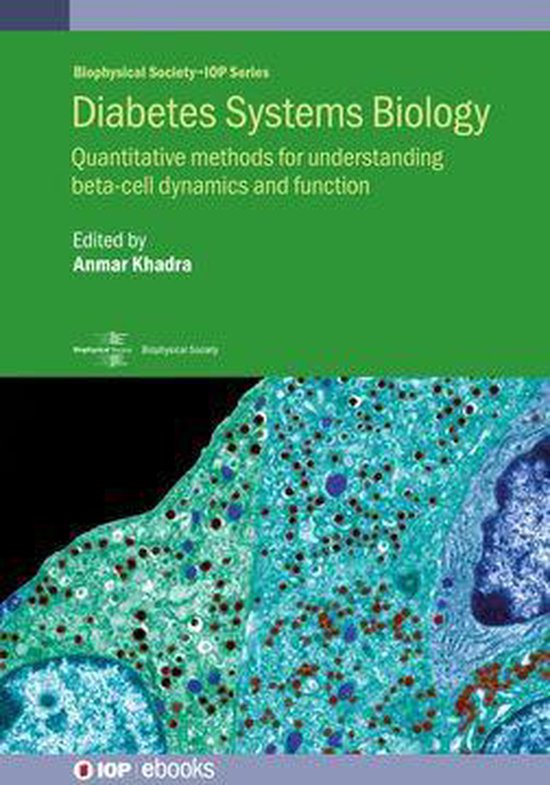 IOP ebooks - Diabetes Systems Biology - cover