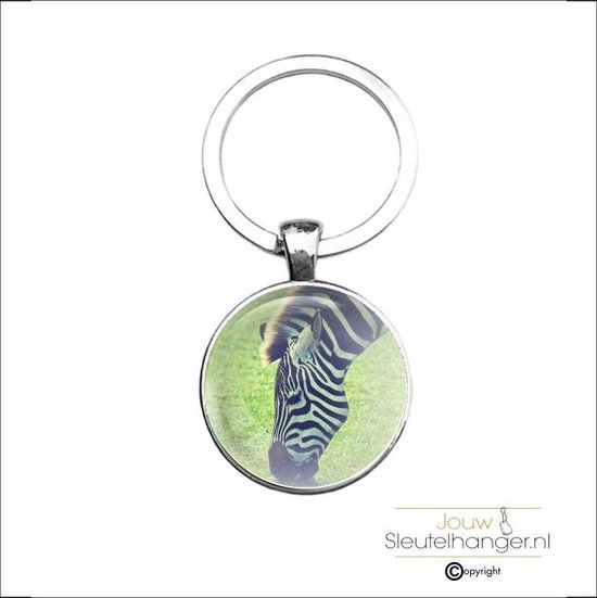 Sleutelhanger Glas - Zebra | bol.com