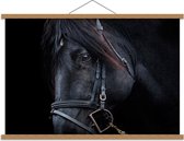 Schoolplaat – Hoofd van Zwart Paard - 90x60cm Foto op Textielposter (Wanddecoratie op Schoolplaat)