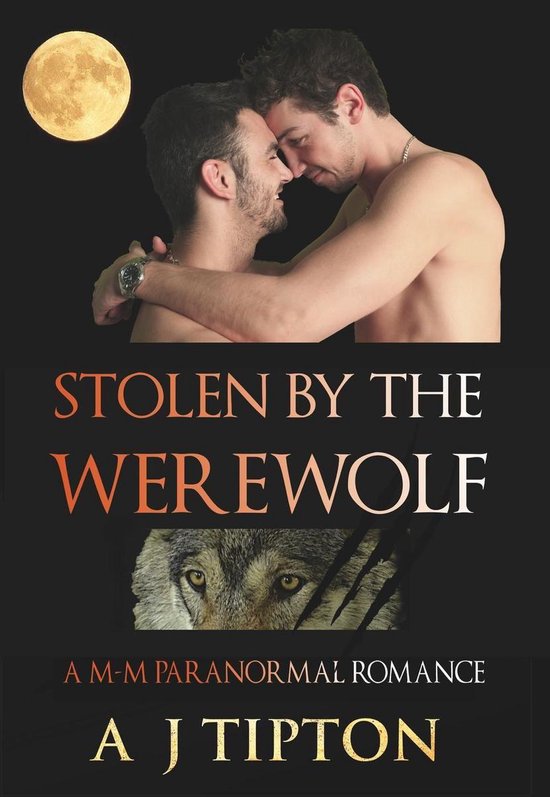 Werewolves of Singer Valley 1 - Stolen by the Werewolf: A M-M Paranormal Romance